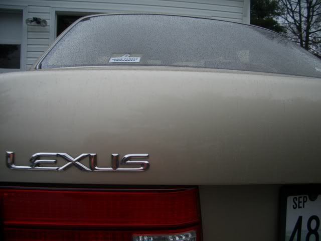 CIMG0180.jpg